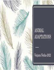 animal adpatations.pptx