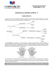 BIO. (02) CARBOHIDRATOS-LIPIDOS (1).pdf