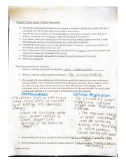Chapter 7 Study Guide - Cellular Respiration.pdf