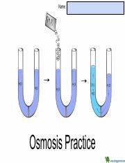 214 Osmosis Practice - 10962463.pdf