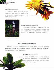 中华人文自然百科·植物卷_73.pdf