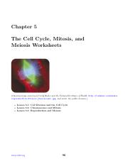 Kami Export - Diego Martinez - Chapter 5  CK-12 Biology Chapter 5 Worksheets.pdf