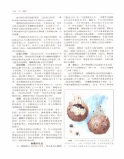 世界百科全书国际中文版19_254.pdf