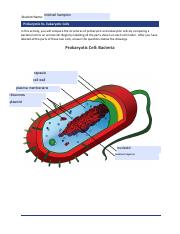 ProkaryoticVsEukaryotic (1).pdf