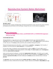 Reproductive System Notes Worksheet.docx