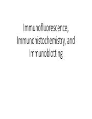 immunofluorescence-immunoblotting.pdf