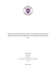 ENG 401 Written Final Report Gökhan.pdf