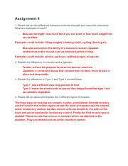 Assignment 4 physical fitness .pdf