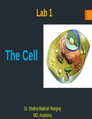 Lab 1 The Cell.pptx
