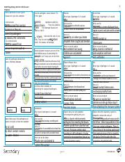 UPLOAD AQA Biology GCSE Unit 4.3 Infection and Response Higher Revision Mat (1).pptx