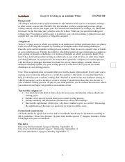 300 Writing Process Essay Packet (1).pdf
