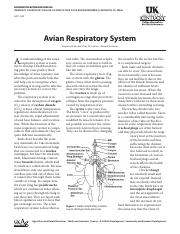 Avian Respiratory System.pdf