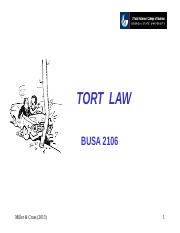 torts.ch.6 3.13.09 (1).ppt