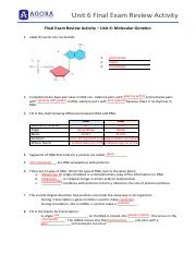 Unit 6 Final Exam Review Activity.pdf