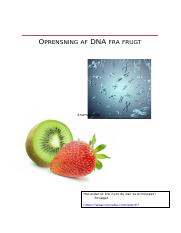 DNA-ekstraktion hjemmeforsøg.docx