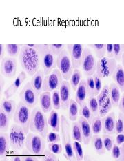 7_Ch9_DNA_Cellular_Reproduction_101 (1).pptx
