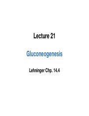 Lecture 21 - Gluconeogenesis.pdf