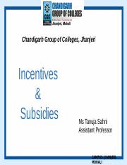 incentive & subsidies.ppt