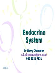 Endocrine system.L1 drugs.ppt