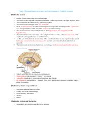 Neuro notes 2.docx