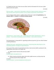 Endo and nervous system worksheet_MS.docx