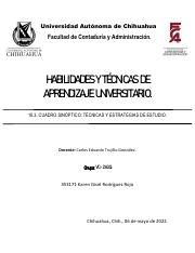 HyT_cuadrosinopticotecnicasyestrategias.pdf