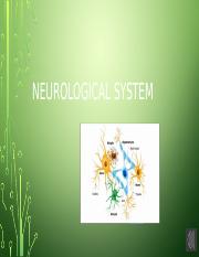 Neuro(1) 4323 Health Assessment Powerpoint.pptx