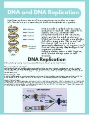 DNA and DNA Replication.pdf