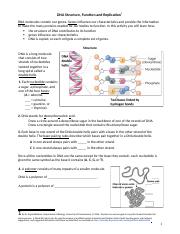 DNA Structure Function Replication worksheet (1).docx