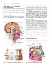 Rhino Surgery Anatomy .pdf
