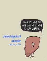 slides - Ch 26 (chemical digestion & absoprtion).pdf