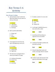 Key Terms 5-6 Quiz.docx