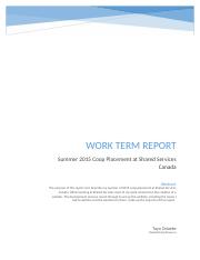Work Term Report