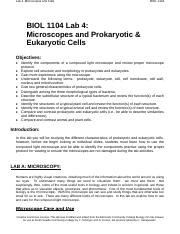 Bio Lab 4 - Microscopes.docx
