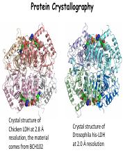 Lecture 13 Protein Crystallography.pdf