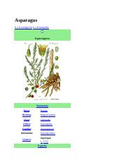 Asparagus.docx
