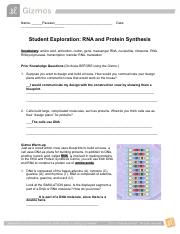 RNAProteinSynthesisSE.docx.pdf