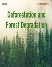 Deforestation and Forest Degradation (Level 4+) (1).pptx