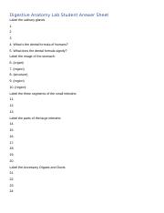 Digestive Anatomy Lab Student Worksheet.docx