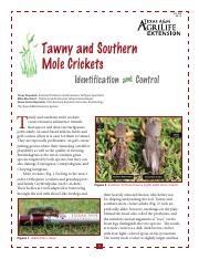 ESC-034-tawny-and-southern-mole-crickets.pdf