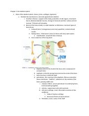 chapter 5; the skeletal system.docx