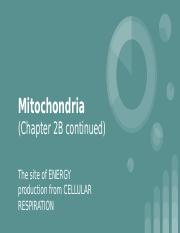 2B. AMN Mitochondria and Cellular Respiration 2022.pptx