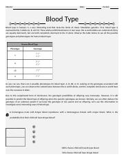 Blood Type Worksheet.docx
