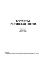 Enzymology Lab Report