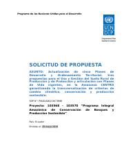 UNDP guia y formulario para presentar oferta técnica y económica.docx