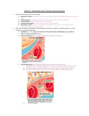 chapter 10 anatomy study guide .pdf