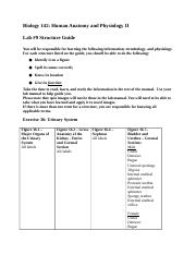 - Lab 9 Structure Guide.docx