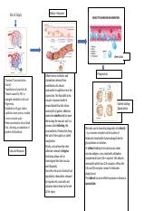 Concept Map - Inflammation.docx