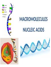 Lesson 1 Nucleic Acids.pdf