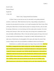 Final Portfolio Essay 1 and 2 - David Carrillo.pdf